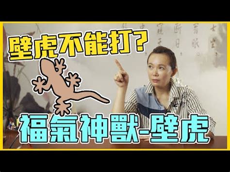 壁虎 風水|【壁虎 風水】壁虎進家惹財富 vs 凶兆？5大徵兆秒看。